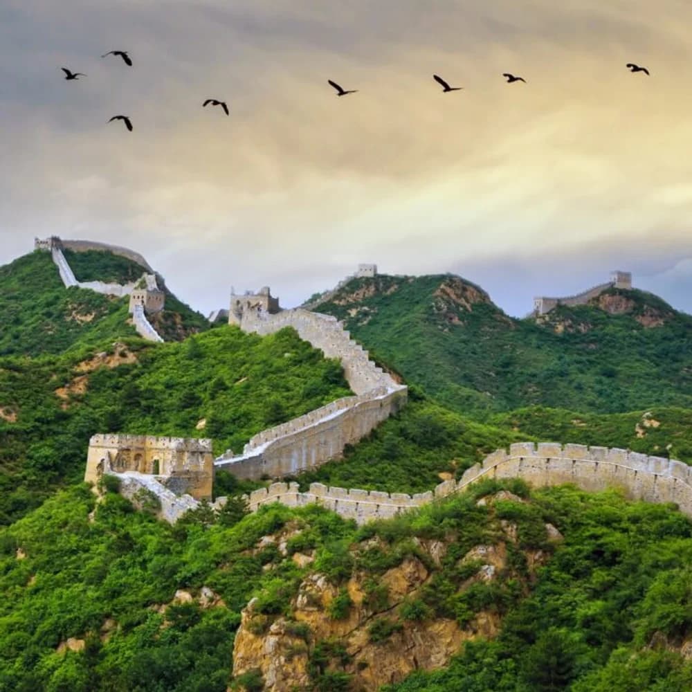 listing card gallery